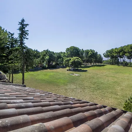 Poggio Active